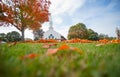 Pumpkin Patch pumpkin sale outside white traditional church in Cooper Parish New England