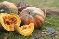 Pumpkin Patch. A rustic autumn still life with pumpkins Royalty Free Stock Photo