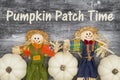 Pumpkin Patch Time message with white pumpkins with fall scarecrows