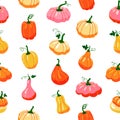 Pumpkin pattern. Seamless autumn vegetables texture, colourful organic products. Vector print