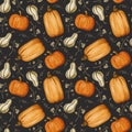 Pumpkin Pattern, Autumn pattern, Harvest illustration, Fall pattern, Harvest festival, Hallowen art, kitchen design Royalty Free Stock Photo