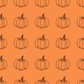 Pumpkin pattern. Vector contour graphics on an orange background