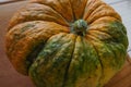 Pumpkin with peduncle . Buy stock photography. Royalty Free Stock Photo