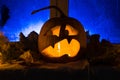 Pumpkin photo for a holiday Halloween. Royalty Free Stock Photo