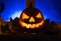 Pumpkin photo for a holiday Halloween. Royalty Free Stock Photo