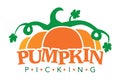 Pumpkin picking logo, Farm stand sign, advertisement