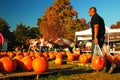 Pumpkin Picking