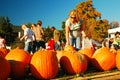 Pumpkin picking at the pumpkin patch