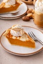 Pumpkin pie with cheesecake swirl, dessert variation for Thanksgiving