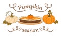 Pumpkin pie and ripe whole pumpkins flat vector illustration Royalty Free Stock Photo