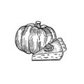 Pumpkin pie slice hand drawn in sketch style. Thanksgiving day design isolated on white background with pumpkin and pie Royalty Free Stock Photo