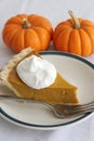 Pumpkin Pie Slice - Vertical