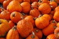 Pumpkin Pile Royalty Free Stock Photo