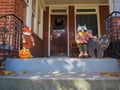 pumpkin on the porch halloween decorations