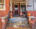 pumpkin on the porch halloween decorations