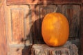 Pumpkin on the porch on wooden door background. Halloween outdoor decor