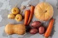 Pumpkin, potatoes, turnips and carrots on a light textured concrete background