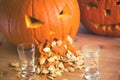 Pumpkin puking with pumpkin seeds on wood table, vodka, vintage effect