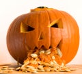Pumpkin puking with pumpkin seeds on wood table and white background