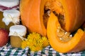 Pumpkin and pumpkin jam, puree or sauce on green with white tablecloth. Autumn still life. Royalty Free Stock Photo