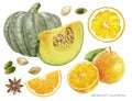 Pumpkin and pumpkin seeds orange fruit anise star watercolor illustration isolated on white background Royalty Free Stock Photo