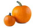 Pumpkin. Pumpkins good for carving a Jack o Lantern on Halloween. Farm autumn October harvest. Pumpkin for Oktoberfest.