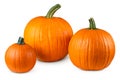 Pumpkin. Pumpkins good for carving a Jack o Lantern on Halloween. Farm autumn October harvest. Pumpkin for Oktoberfest.