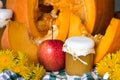 Pumpkin puree or sauce on background of pumpkin. Autumn still life Royalty Free Stock Photo