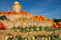 Pumpkin pyramid Royalty Free Stock Photo