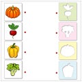 Pumpkin, radishes, peppers and broccoli. Educational game for kids