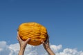 A pumpkin is raised against the blue sky by female hands, as if it were a rugby ball Royalty Free Stock Photo