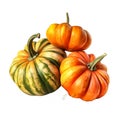 Pumpkin. Realistic close-up illustration of fresh vegetable, isolated on white background. Generative AI