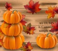 Pumpkin realistic Vector illustration on wood background