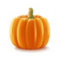 Pumpkin realistic vegetable