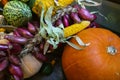 Pumpkin, red onion, corn, decorative mellons Royalty Free Stock Photo