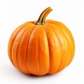 Realistic Orange Pumpkin Isolated On White Background