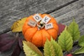 Pumpkin - Ring - Love Royalty Free Stock Photo