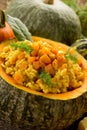 Pumpkin risotto Royalty Free Stock Photo
