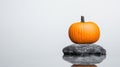 Pumpkin on a rock white isolated background Royalty Free Stock Photo
