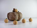 Pumpkin roll cake balls truffle like mini dessert lined up with a wooden fall pumpkin in the background, delicious dessert for the Royalty Free Stock Photo