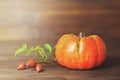 Pumpkin and rose hips Royalty Free Stock Photo