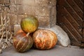 Pumpkin and rustic decoration outdoors. Stylish autumn decor of exterior building