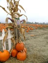 Pumpkin Scarecrow