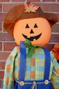 Pumpkin Scarecrow Royalty Free Stock Photo