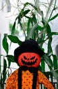 Pumpkin Scarecrow Face Closeup Halloween Royalty Free Stock Photo