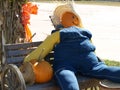 Fall Pumpkin Scarecrow Farmer Outdoor Display
