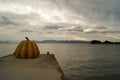 Pumpkin sculpture, Naoshima island