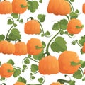 Pumpkin Seamless Pattern Background Autumn Harvest Concept Season Fall Ornament Royalty Free Stock Photo