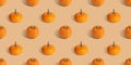 Pumpkin seamless pattern on beige background. Banner. Halloween pumpkin background. Autumn concept