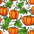 Pumpkin seamless pattern drawing. artistic veget